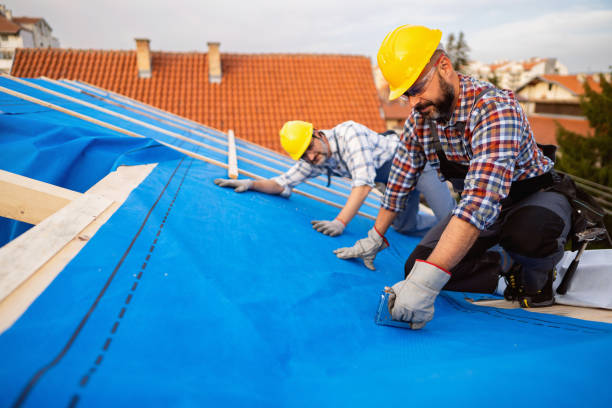 Best Local Roofing Companies  in Waverly, IA